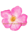 Bach Flower Institute Practitioner Certification