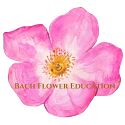 Bach Flower Essences