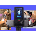 Class 4 Therapeutic Lasers – Therapeutic Laser for Humans, Horses, Dogs & Cats