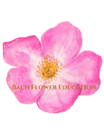 Bach Flower Education & Living Enrichment books